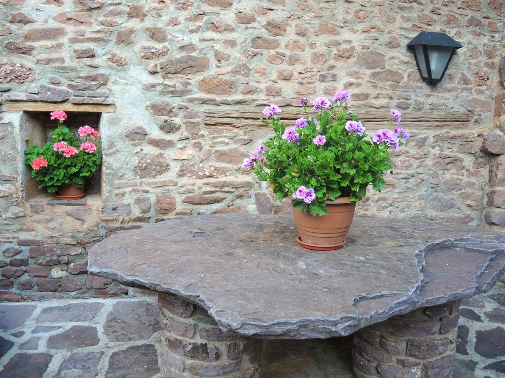 Turisme Rural Lo Pallé de Cal Bosch Llagunes Extérieur photo