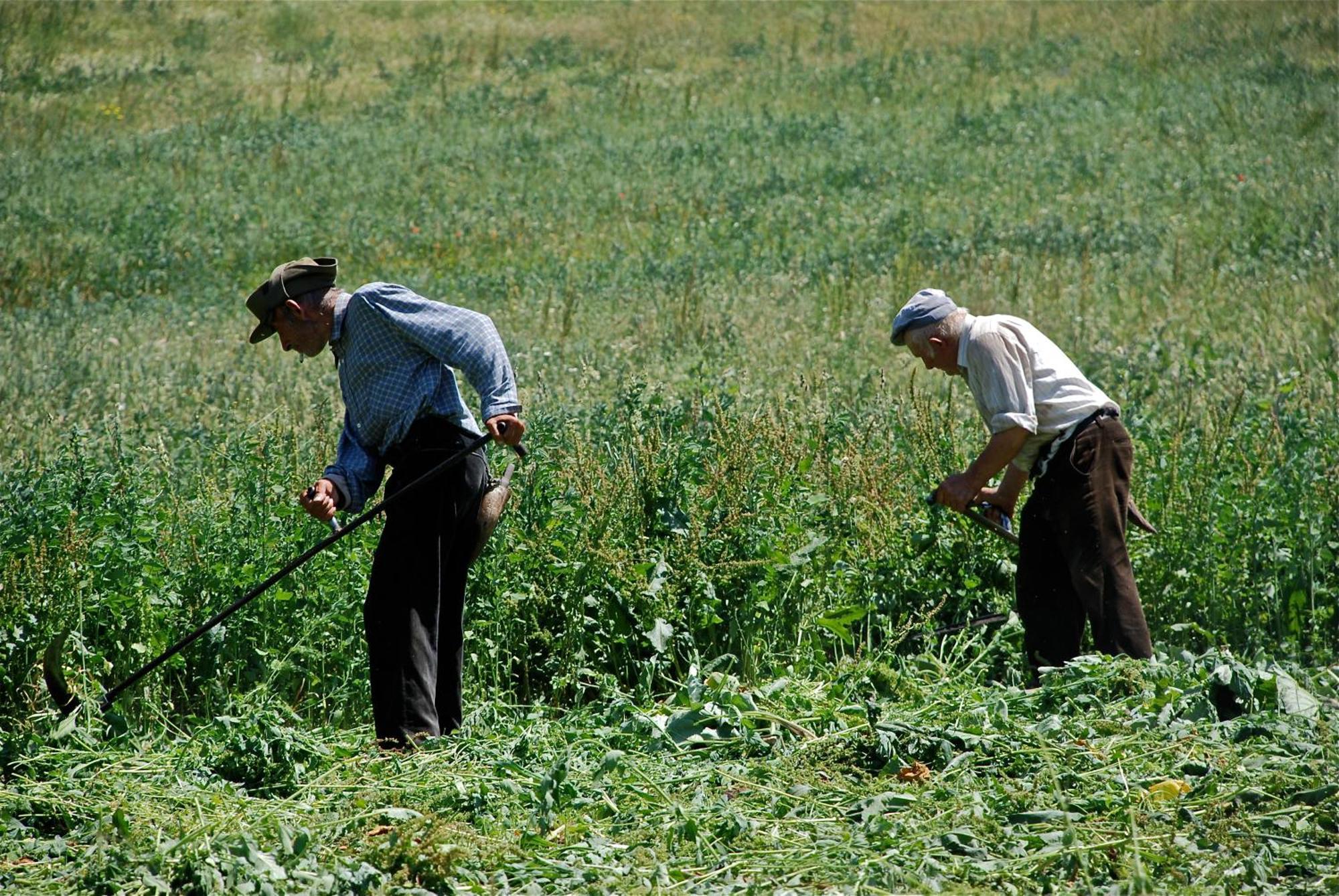 Turisme Rural Lo Pallé de Cal Bosch Llagunes Extérieur photo