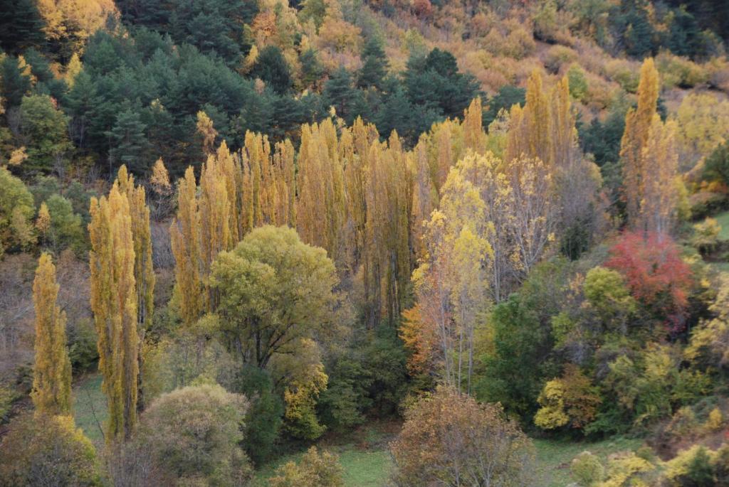 Turisme Rural Lo Pallé de Cal Bosch Llagunes Extérieur photo