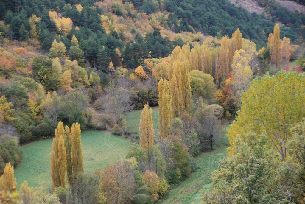 Turisme Rural Lo Pallé de Cal Bosch Llagunes Extérieur photo